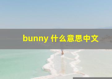 bunny 什么意思中文